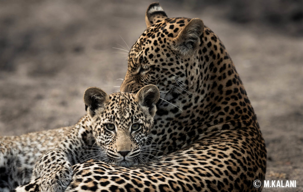 South Africa