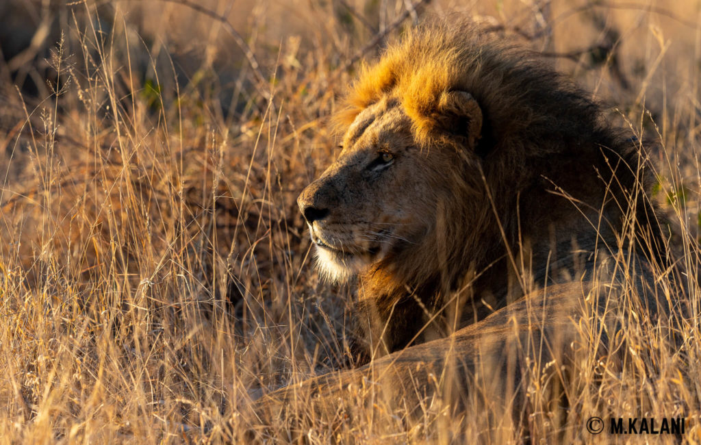 South Africa